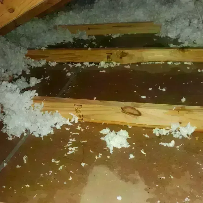 Attic Water Damage in Gerber, CA