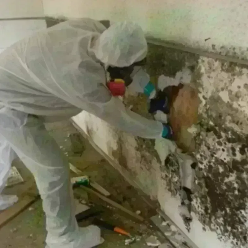 Best Mold Remediation and Removal Service in Gerber, CA