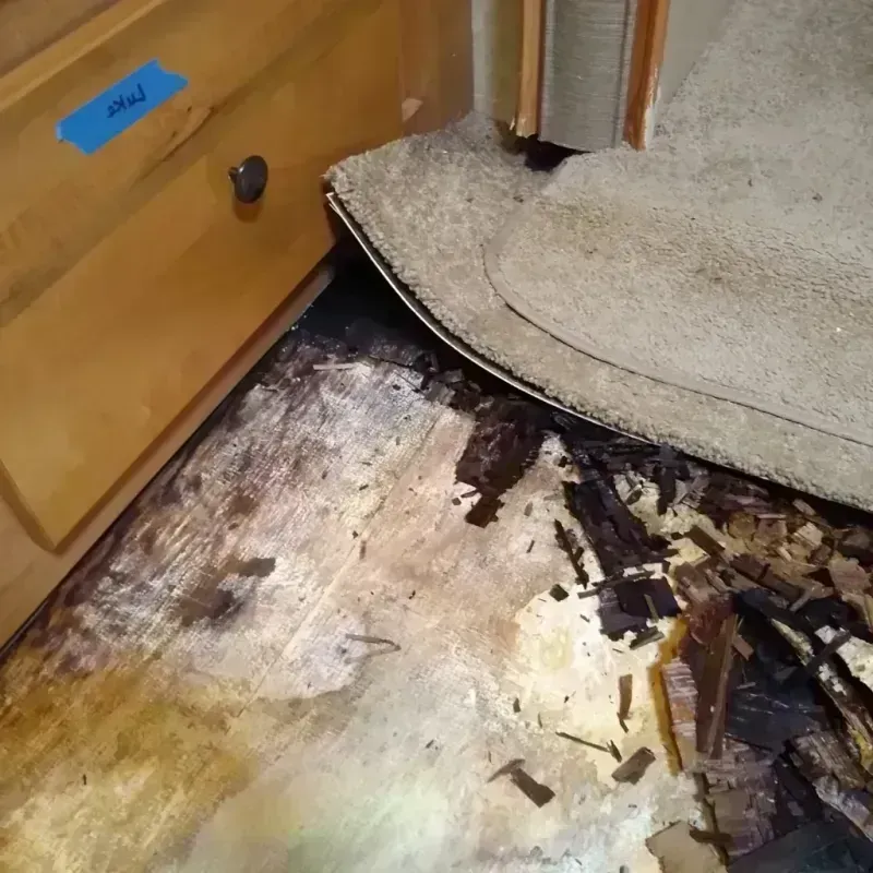 Wood Floor Water Damage in Gerber, CA